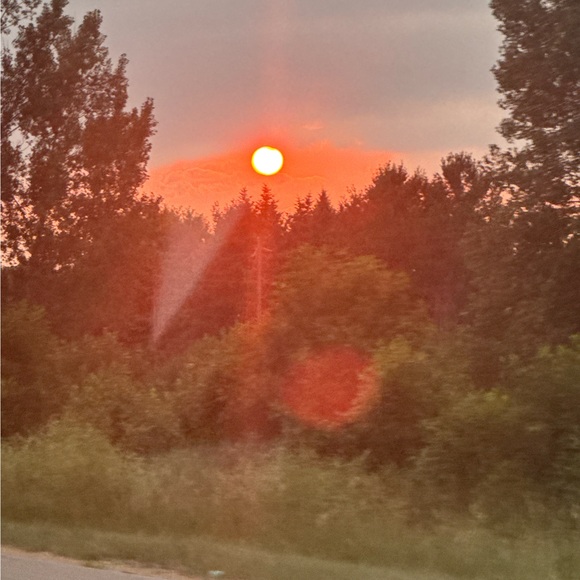 ljvalgal